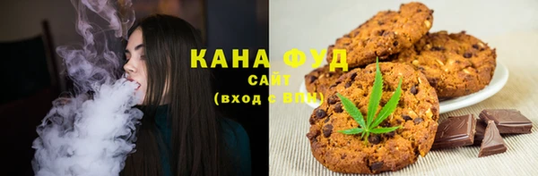 прущий лед Алзамай