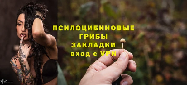 прущий лед Алзамай