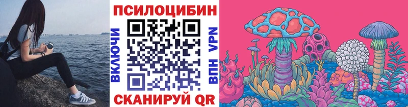 Псилоцибиновые грибы Psilocybine cubensis  Новокузнецк 